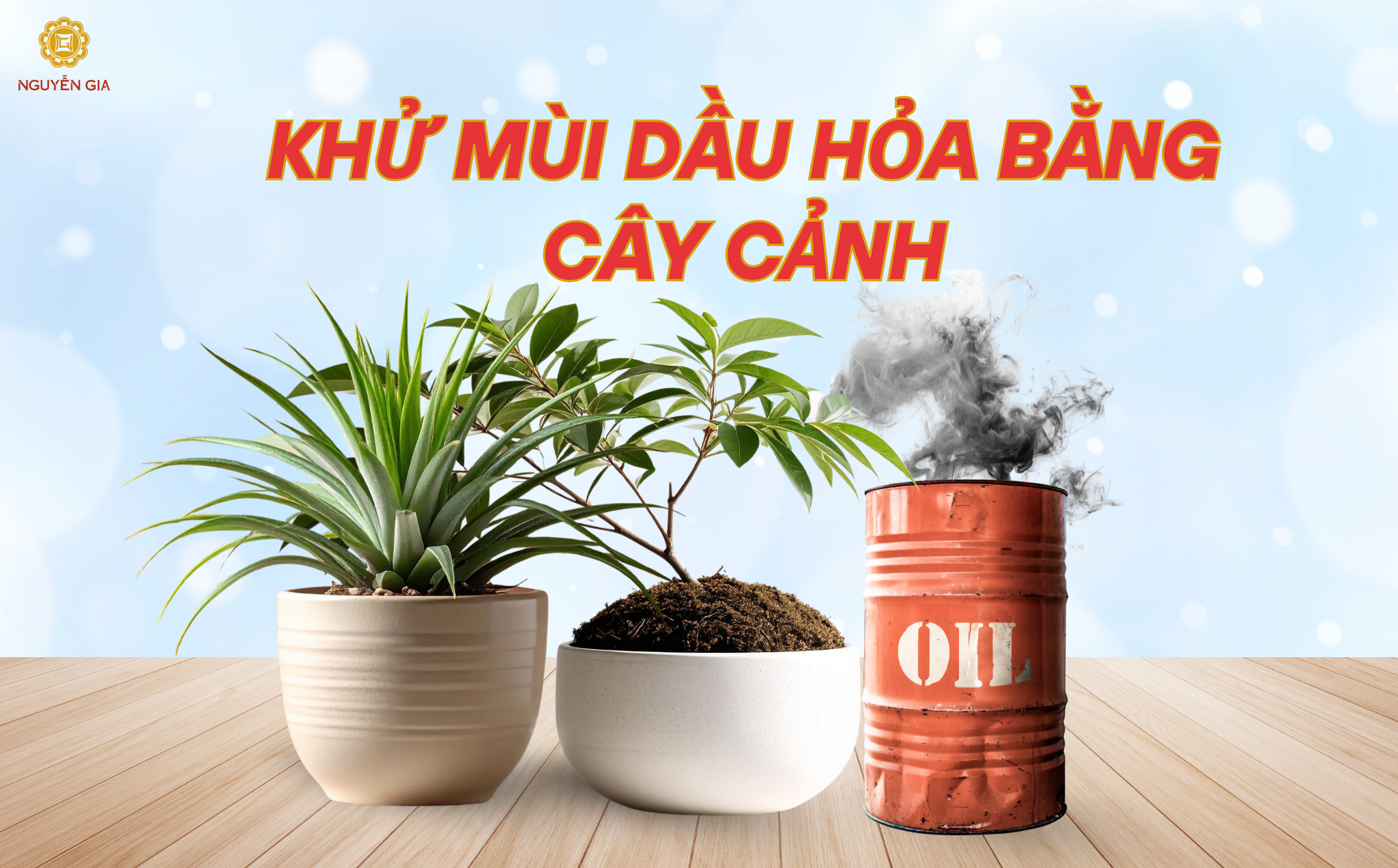 Nhiều loại cây như lưỡi hổ, nha đam, hoặc cây trầu bà có khả năng lọc không khí