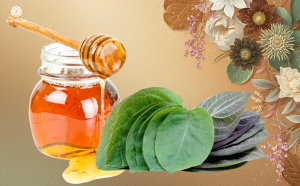 Việc phối trộn giữa tính sát khuẩn mạnh mẽ của lá mơ và khả năng kháng viêm