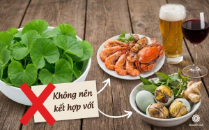 Không nên kết hợp rau má với rượu bia, hải sản hay trứng vịt lộn