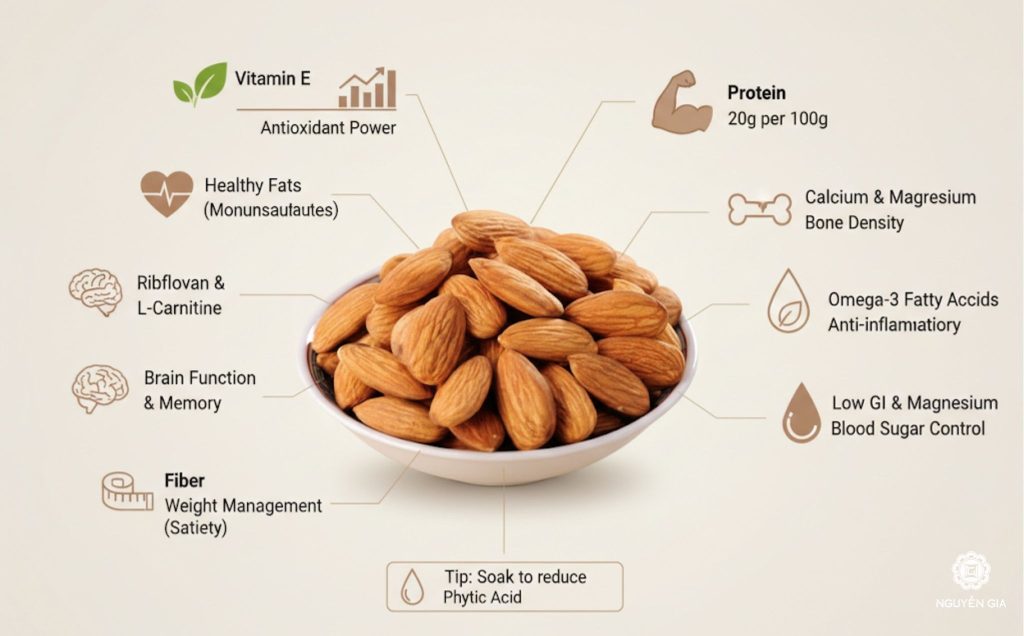 Giá trị dinh dưỡng của hạnh nhân đối với cơ thể được nhiều chuyên giá đánh giá cao