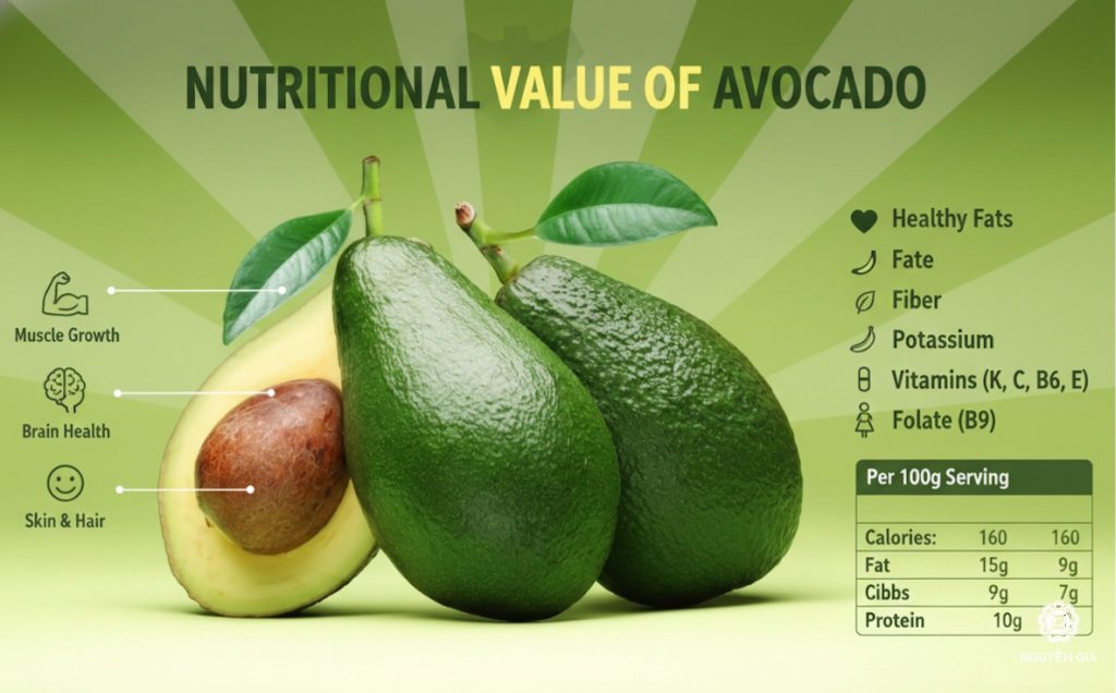 Bật mí giá trị dinh dưỡng của quả bơ mang lại cho sức khỏe