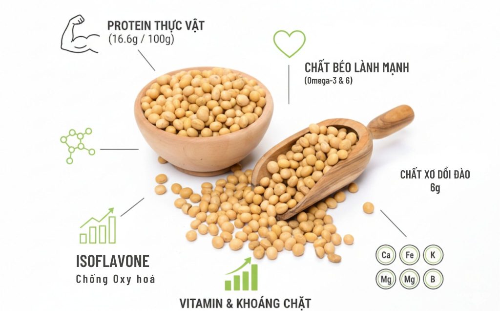 Hàm lượng dinh dưỡng trong đậu nành và lợi ích cho cơ thể