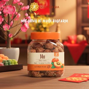 Mơ gừng xí muội 1