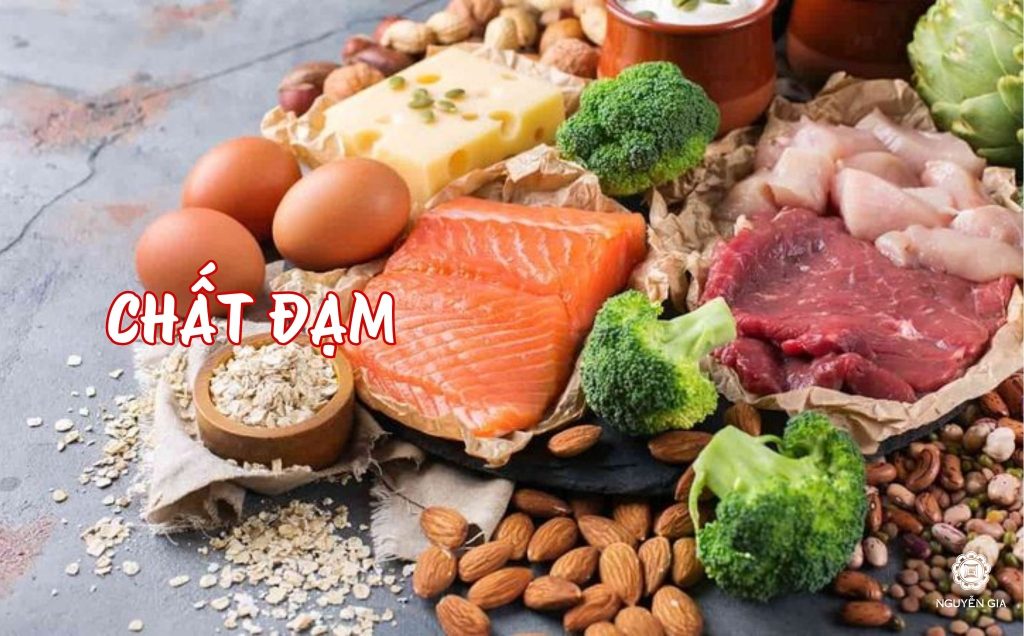 Tìm hiểu về nhóm chất đạm và loại thực phẩm cần thiết